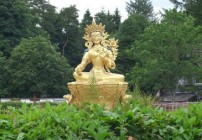 Imaginative Training | Social media blog